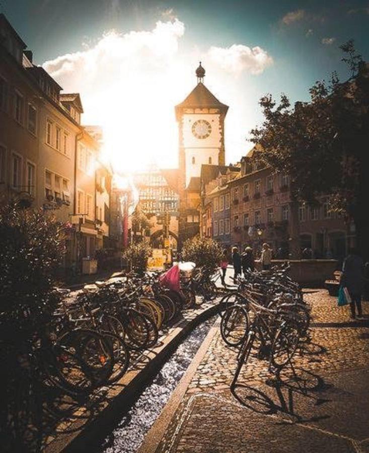 Luxus Apartment Colloseum In Der Stadt Freiburg im Breisgau Eksteriør bilde