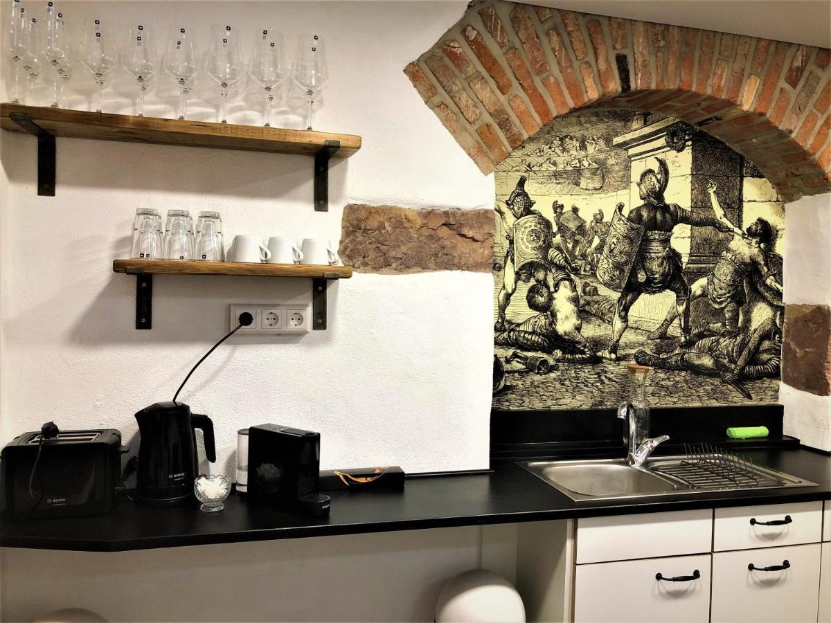 Luxus Apartment Colloseum In Der Stadt Freiburg im Breisgau Eksteriør bilde